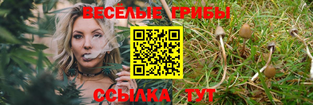 Кокаин Всеволожск