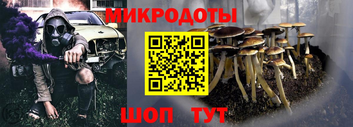 Всеволожск  Псилоцибиновые грибы мухоморы  Вход с VPN 